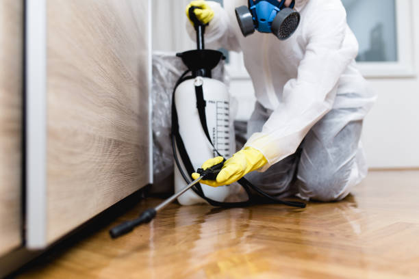 Best Best Pest Control Companies  in Brenham, TX