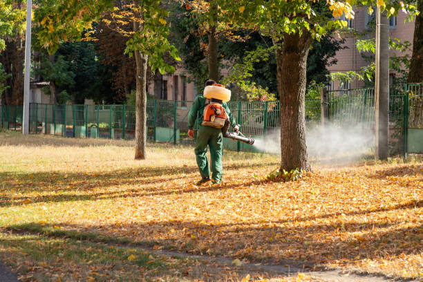 Best Best Pest Control Companies  in Brenham, TX